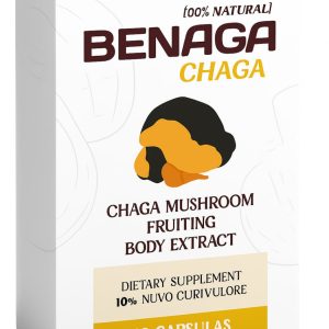 Benaga Chaga